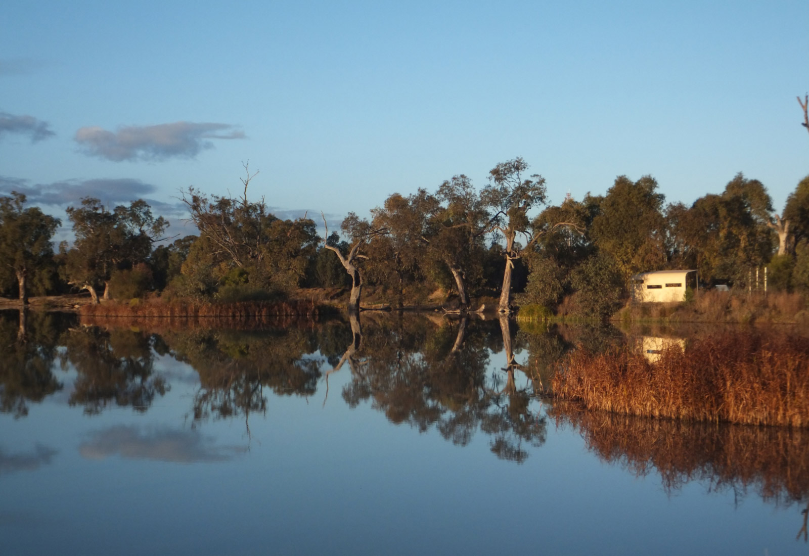 Macquarie River Trails