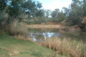 Dickigundie Reserve