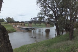 Dundullimal Reserve, Dubbo