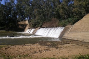 Gin Gin Weir