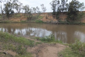 Mack’s Reserve, Narromine