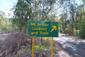 Mount Arthur Reserve, Wellington