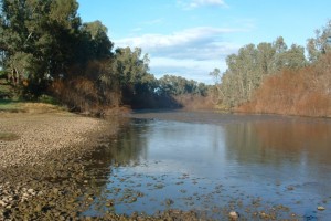 Pilcher’s Reserve, Dubbo