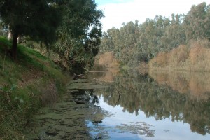 Ponto Falls Reserve, near Wellington