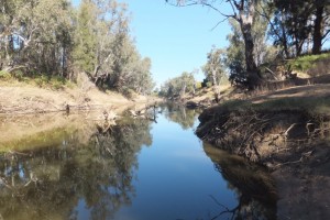 Macquarie River scenic drive