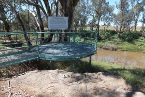 Terramungamine Reserve, Dubbo