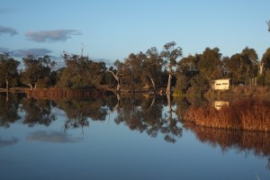 Tiger Bay Wetland, Warren