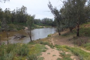 Webb’s Siding Reserve, Narromine