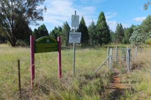 Wongarbon Tank Reserve