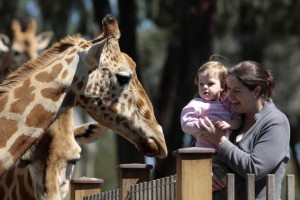 Taronga Western Plains Zoo, Dubbo