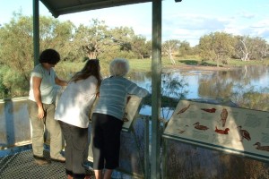 Wetland viewing platform, Macquarie Marshes