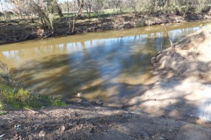 Bob Christenson Reserve, Warren