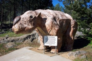 Wellington Caves, Phosphate Mine and Osawano Japanese Gardens