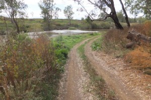 Peach Trees Reserve