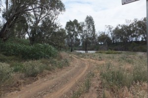 Timbrebongie Reserve, Narromine