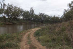 Turkey Farm Reserve, Narromine