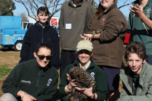 Education at Taronga Western Plains Zoo