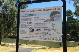 Tracker Riley Walkway and Cycle Path interpretive signage, Dubbo