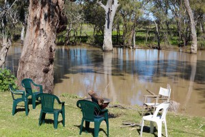 Haddon Rig's Jackaroo Lodge